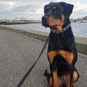 Fundraising Page: Gilberto Lorenzo